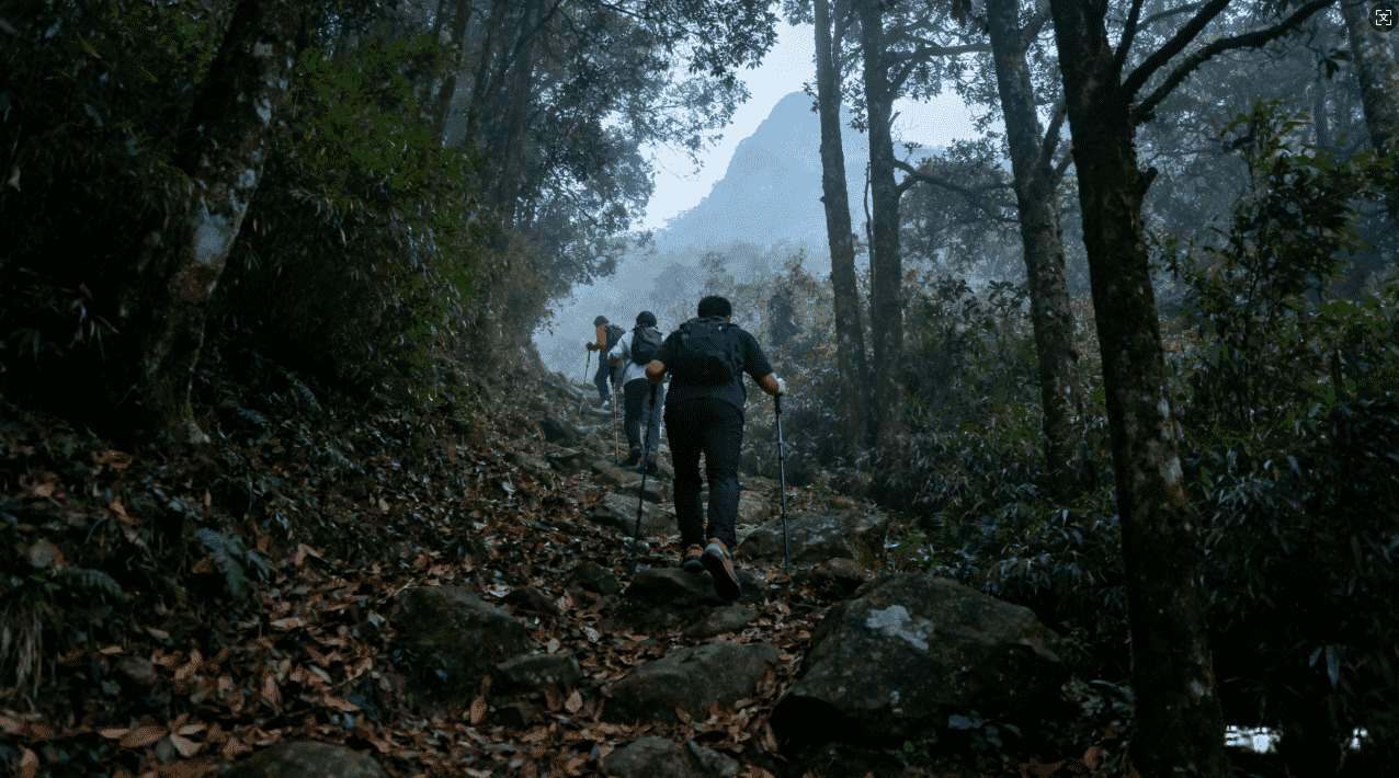 全面解析天行加速器苹果端使用流程与操作技巧指南